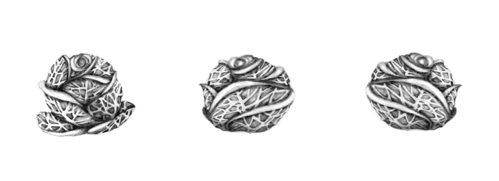 Schermata 10-2457320 alle 16.41.30