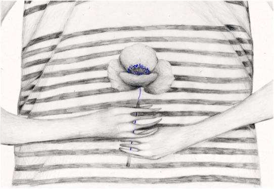 Schermata 12-2457364 alle 15.58.55