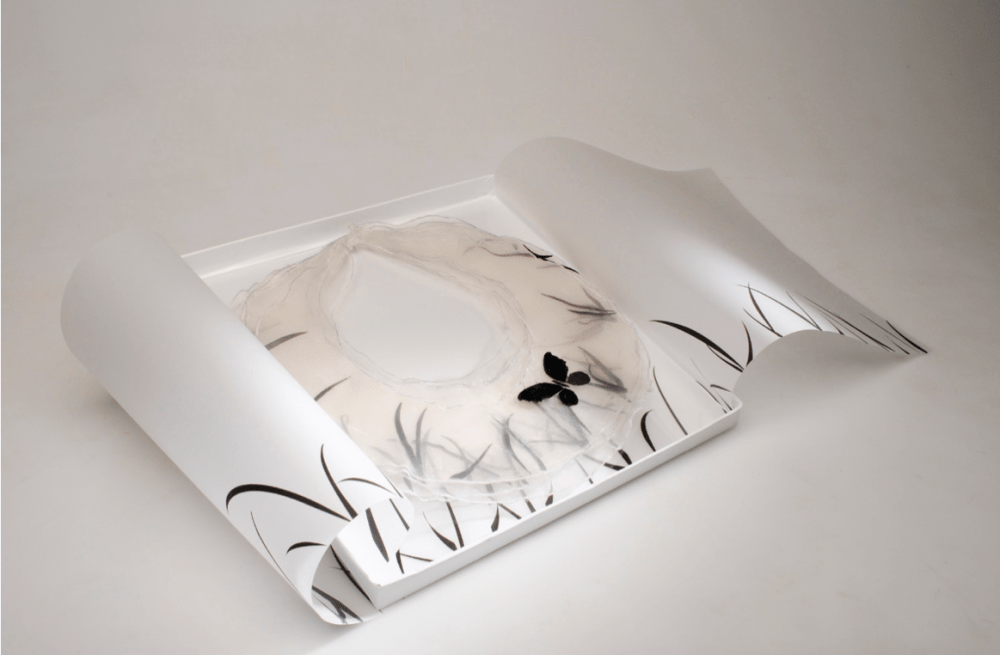 Schermata 12-2457367 alle 21.54.53